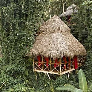 https://dominican-tree-house.comcaribbean.com